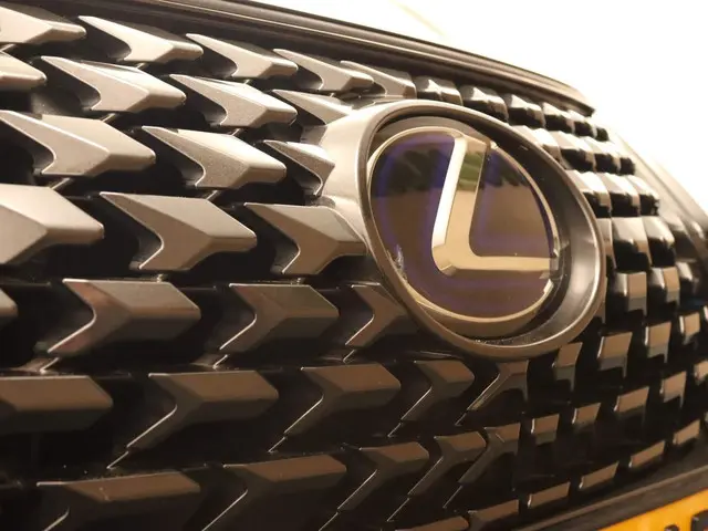 Lexus UX 300e Business 54 kWh 2020 Elektrisch 8