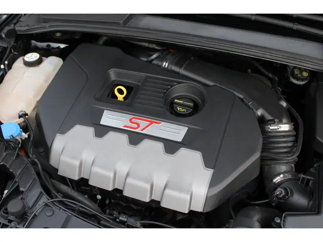 Ford Focus 2.0 ST kleppenuitlaat 2017 Benzine 29