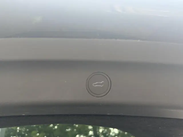 Tesla Model Y Performance AWD 75 kWh 2022 Elektrisch 6