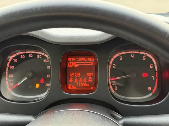 Fiat Panda 1.2 City Cross 2019 Benzine 14