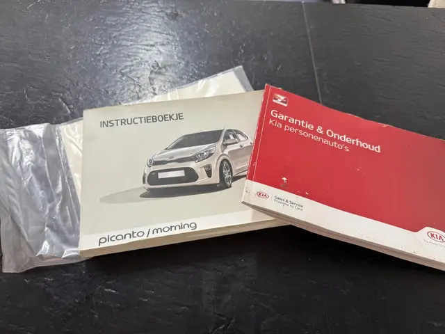 Kia Picanto 1.0 CVVT EconomyPlusLine 2019 Benzine 17