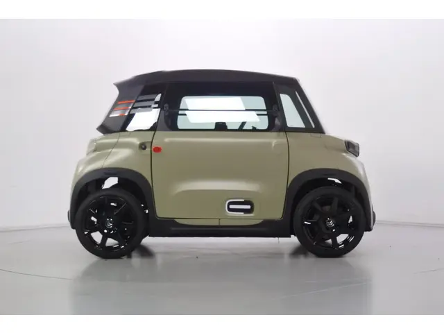 Citroën Ami Pack VDA Custom 16" 2021 Elektrisch 4