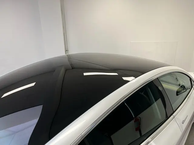Tesla Model 3 Performance AWD 75 kWh 2019 Elektrisch 18