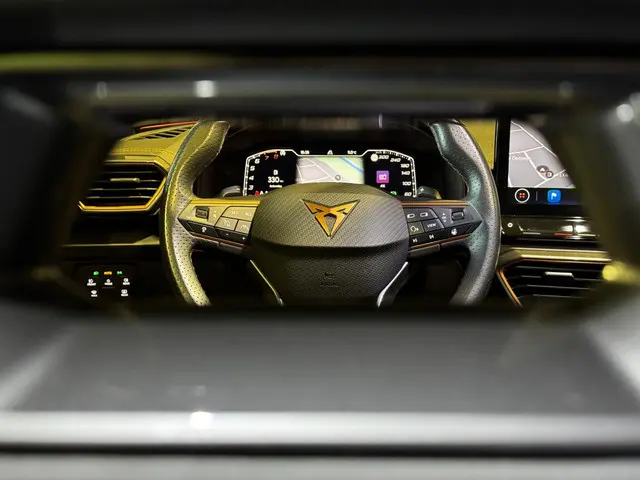 CUPRA Formentor 2.0 TSI VZ 2023 Benzine 21