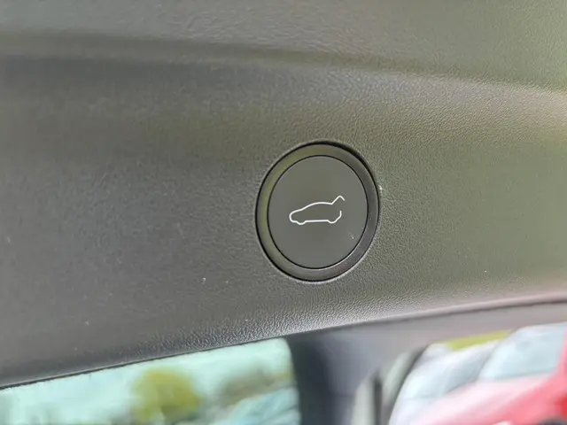 Tesla Model Y Long Range AWD 75 kWh 2022 Elektrisch 26