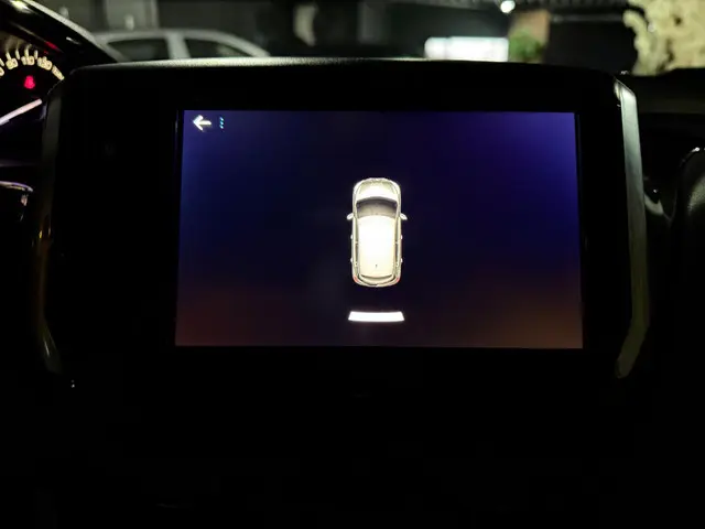 Peugeot 208 1.2 PureTech | Signature |NAP | 2019 Benzine 31