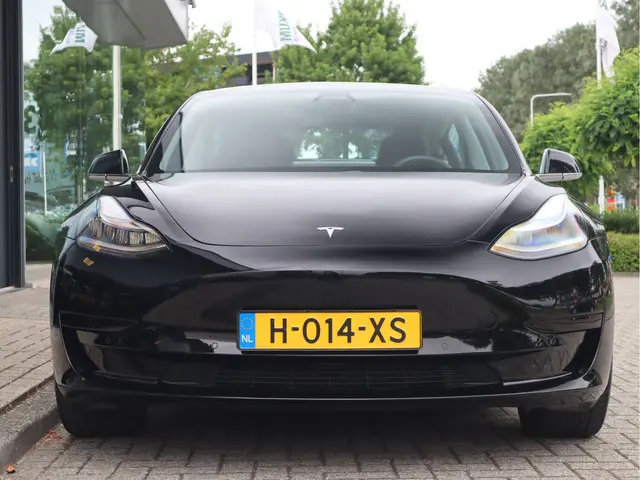 Tesla Model 3 Standard RWD Plus 60 kWh 2020 Elektrisch 12