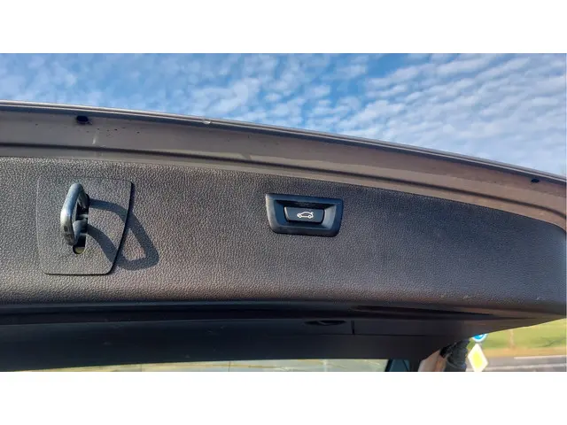 BMW 3 Serie Touring 318i Executive 2018 Benzine 14