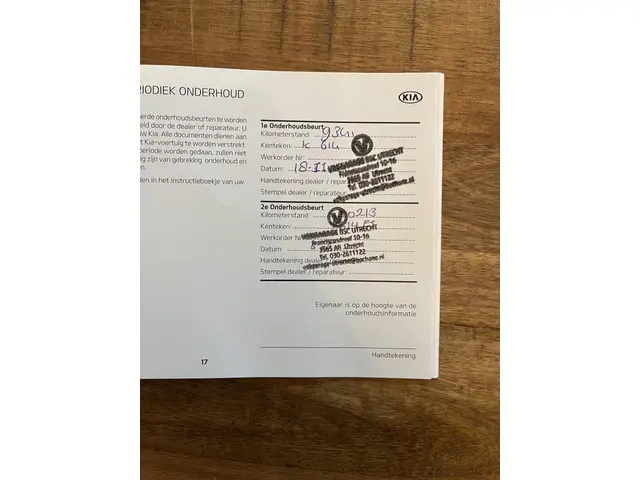 Kia e-Niro ExecutiveLine 64 kWh 2020 Elektrisch 43