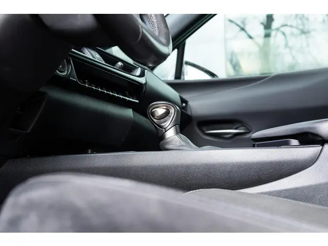 Lexus UX 250h Business Line 2022 Hybride Benzine 25