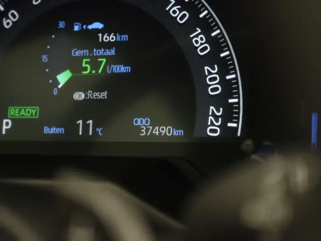 Toyota RAV4 2.5 Hybrid Style 2020 Hybride Benzine 25