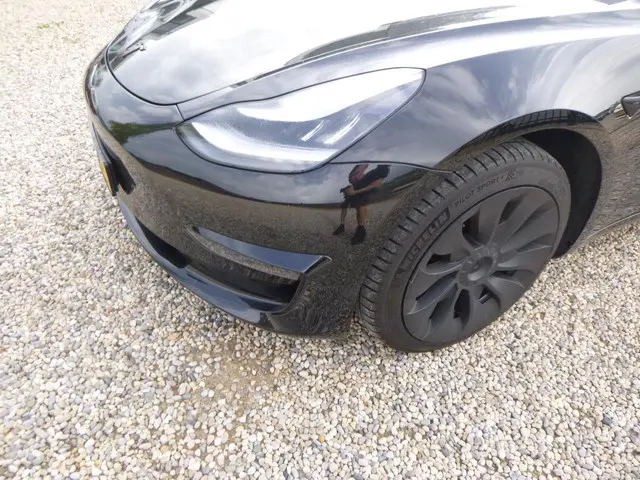 Tesla Model 3 Standard RWD Plus 60 kWh 2019 Elektrisch 12