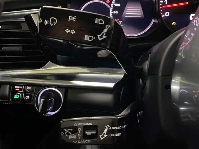 Porsche Panamera 2.9 4S 2019 Benzine 21