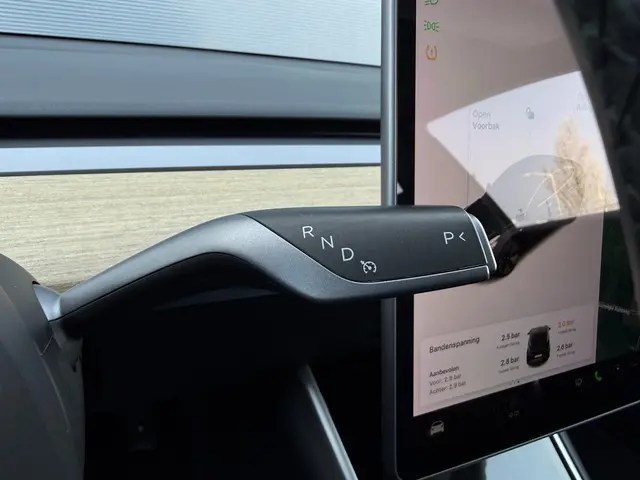 Tesla Model 3 Standard RWD Plus 60 kWh 2020 Elektrisch 15