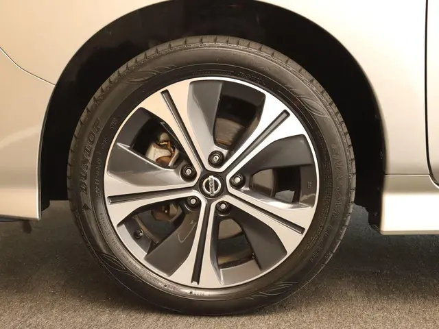 Nissan Leaf e+ Tekna 62 kWh 2019 Elektrisch 15