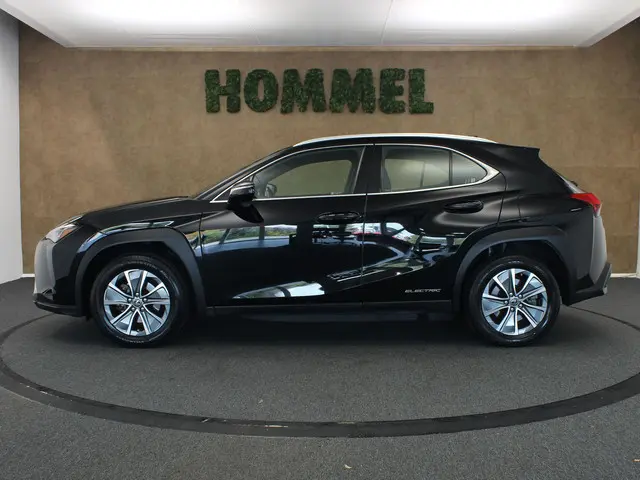 Lexus UX 300e Business 54 kWh 2020 Elektrisch 11