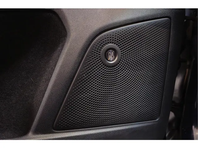 Ford Focus 1.0 EcoBoost Titanium Business 2019 Benzine 25