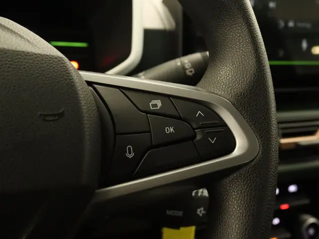 Dacia Spring Extreme 65 26.8 kWh 2025 Elektrisch 23