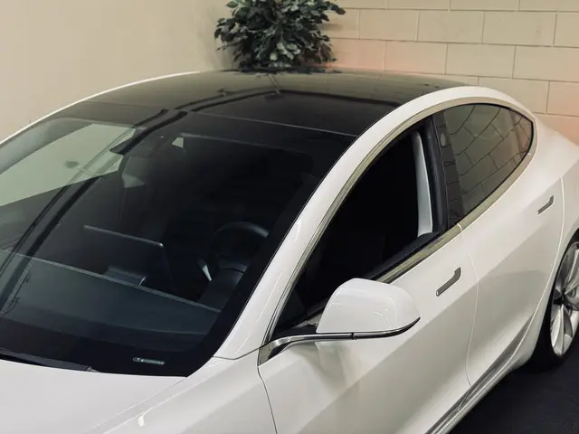 Tesla Model 3 Performance AWD 75 kWh 2019 Elektrisch 29