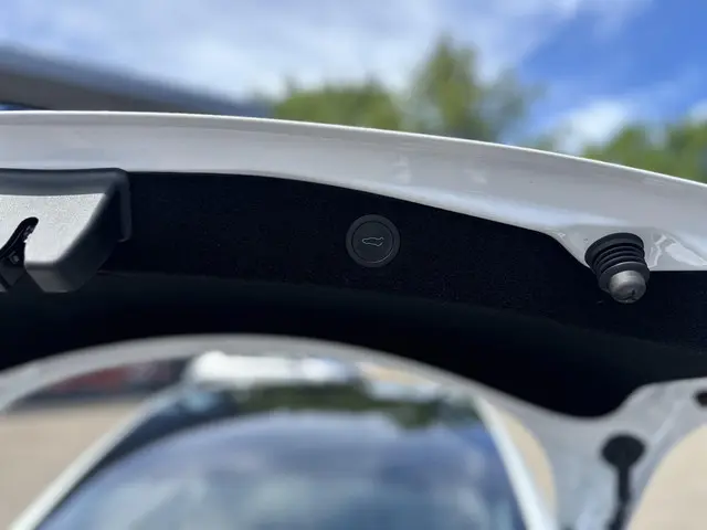 Tesla Model 3 RWD 60 kWh 2024 Elektrisch 9