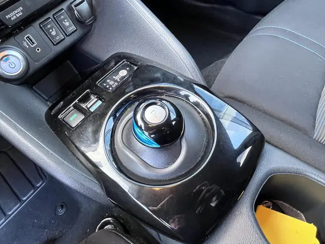 Nissan Leaf e+ N-Connecta 62 kWh 2021 Elektrisch 20