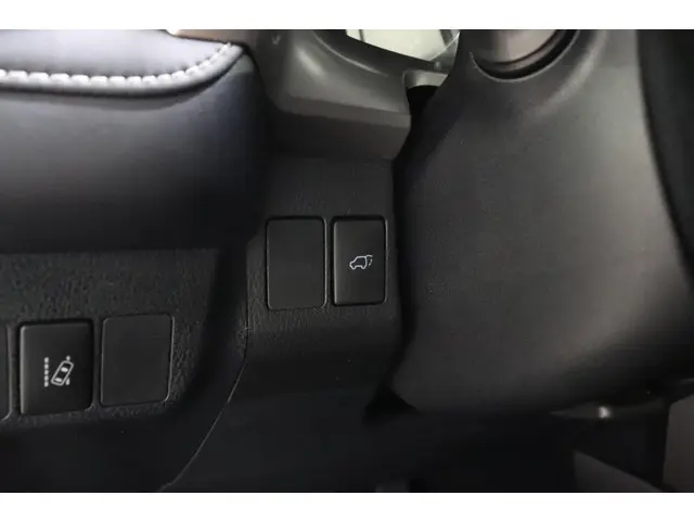Toyota RAV4 2.5 Hybrid Energy, NAVI, 2019 Hybride Benzine 10