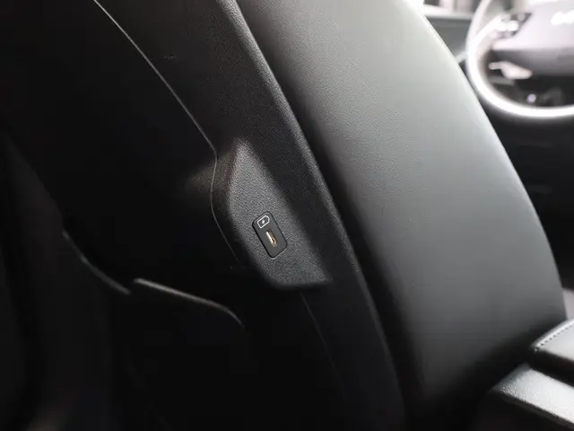 Kia Niro EV Edition Advanced 64.8 kWh 2024 Elektrisch 30