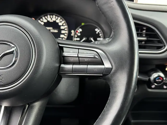 Mazda CX-30 2.0 E-SKYACTIV M HYBRID LUXURY 2020 Benzine 23