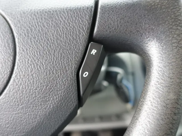 Renault Trafic 2.0 dCi T29 L2 Dynamic- 2012 Diesel 14
