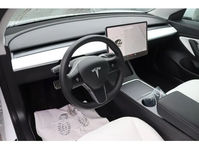 Tesla Model 3 Long Range AWD 75 kWh 2021 Elektrisch 6