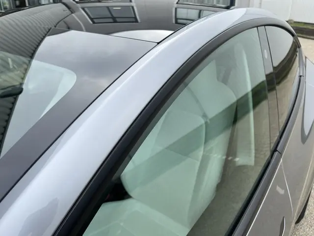 Tesla Model Y Long Range AWD 75 kWh 2023 Elektrisch 41