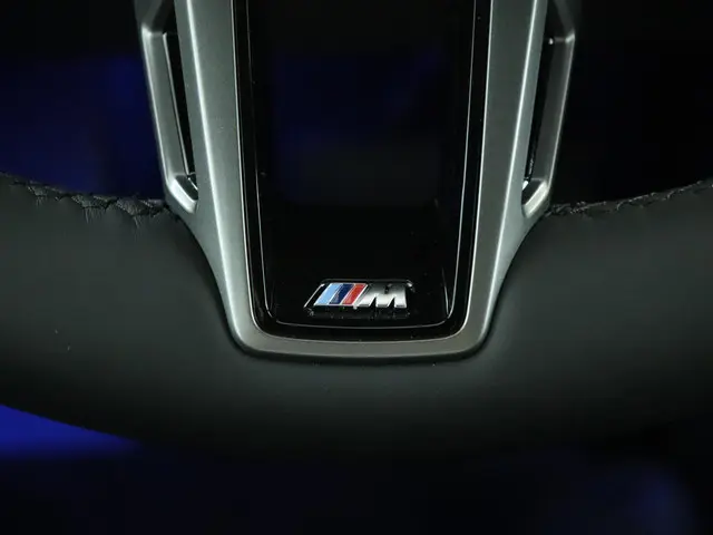 BMW iX xDrive40 2025 Elektrisch 52