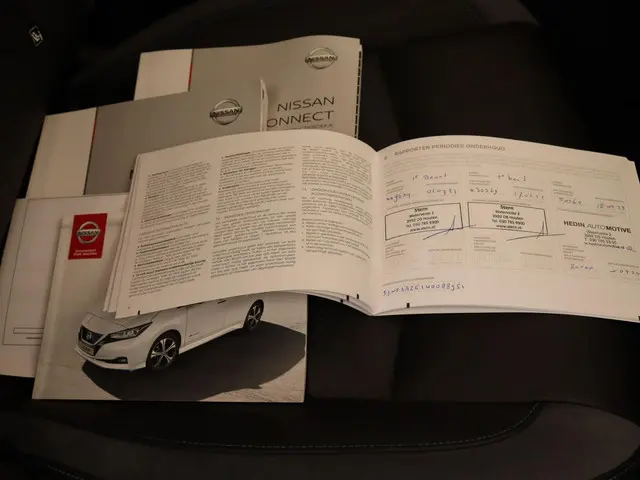 Nissan Leaf e+ Tekna 62 kWh 2019 Elektrisch 45