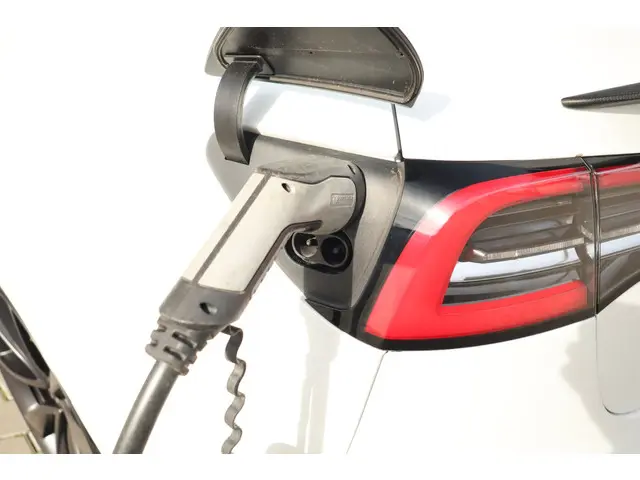 Tesla Model 3 Performance AWD 75 kWh 2019 Elektrisch 17