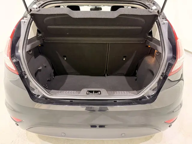 Ford Fiesta HB 1.25 Duratec Titanium 2013 Benzine 18