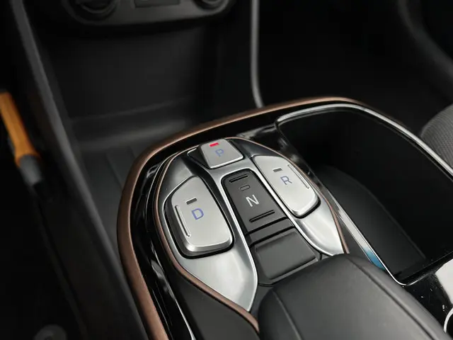 Hyundai IONIQ Comfort EV 2018 Elektrisch 31