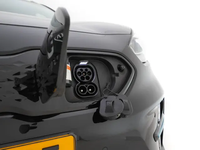 Kia e-Niro ExecutiveLine 64 kWh 2020 Elektrisch 29