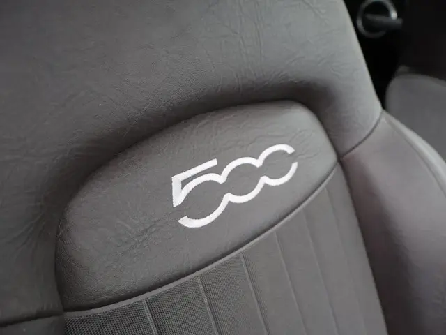 Fiat 500X 1.4 TURBO 140 PK LPG-G3 ONDERBOUW 2015 LPG/Gas 24