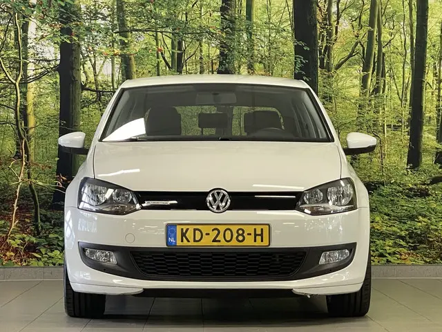 Volkswagen Polo 1.0 BlueMotion Edition 2016 Benzine 2