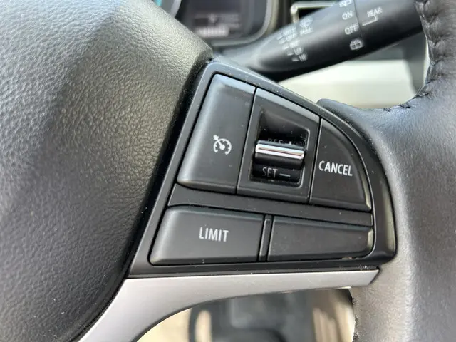 Suzuki Ignis 1.2 Smart Hybrid Stijl 2019 Benzine 13