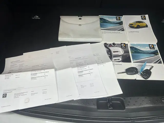 Smart Forfour zeer netjes 1.0 Joy Edition 2015 Benzine 16