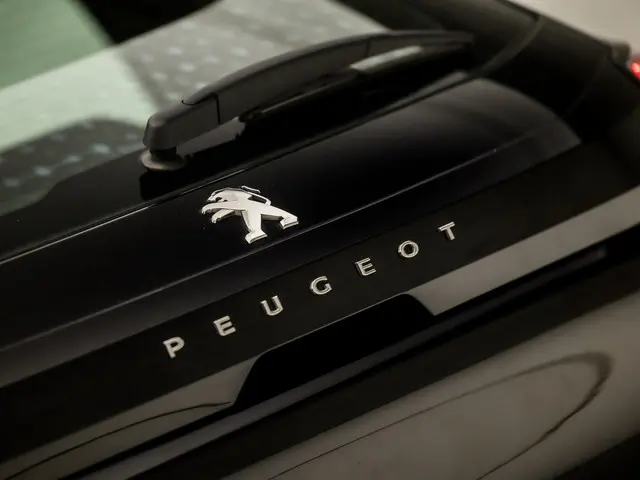 Peugeot 208 1.2 PureTech Sport 2020 Benzine 28