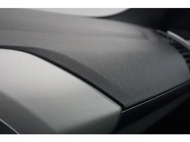 BMW X4 xDrive20i 2019 Benzine 15