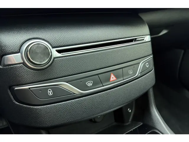 Peugeot 308 1.2 PureTech Blue Lion 2017 Benzine 21