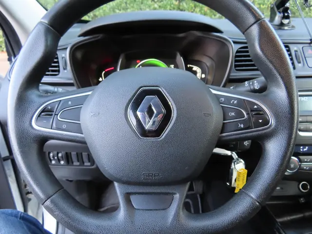 Renault Kadjar 1.2 TCe Life 2016 Benzine 25