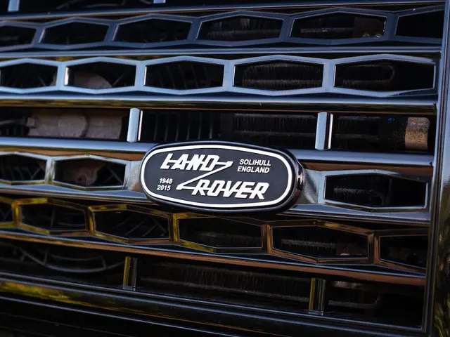 Land Rover Defender 2.2 D SW 90" XTech 2015 Diesel 33