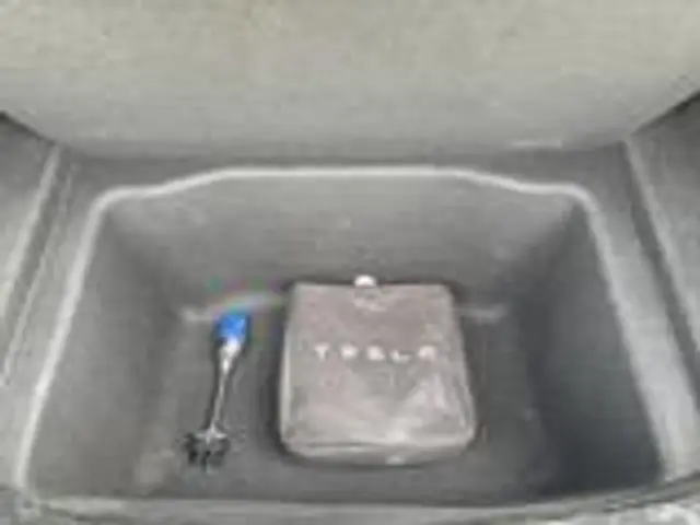 Tesla Model 3 Standard RWD Plus 60 kWh 2019 Elektrisch 12