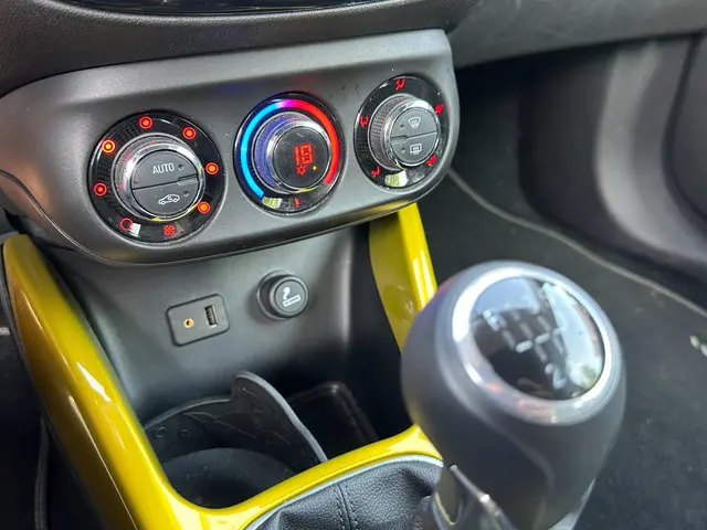 Opel ADAM 1.4 Rocks Edition. Open Dak. Clima. 2014 Benzine 9