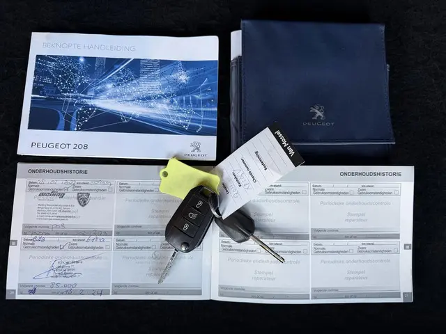 Peugeot 208 1.2 PureTech Signature 2018 Benzine 20