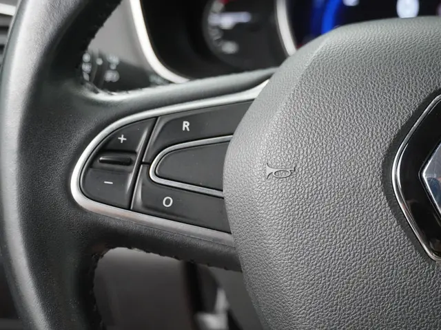 Renault Mégane Estate 1.3 TCe Limited 2019 Benzine 15
